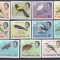 DB1 Fauna Africana Pasari Gambia 1963 13 v. MNH