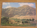BVS - ISRAEL 4