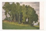 AT7 -Carte Postala-AUSTRIA- Karl Weber Art Publisher, Muhlau, Tirol, Necirculata