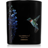 Vila Hermanos Jungletopia Hummingbird lum&acirc;nare parfumată 200 g