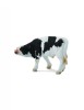 Friesian Pui - Collecta