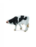 Friesian Pui - Collecta