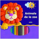 &Icirc;nvăț să modelez. Animale de la Zoo (plastilină) - Hardcover - *** - Prut