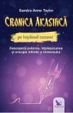 Cronica Akashica pe intelesul tuturor - Sandra Anne Taylor