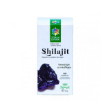 Steaua Divina Shilajit, 60 capsule