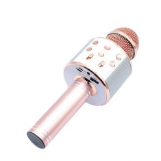 Microfon karaoke Rotosonic W-858 Auriu boxa inclusa, Bluetooth, SD Card, USB, AUX