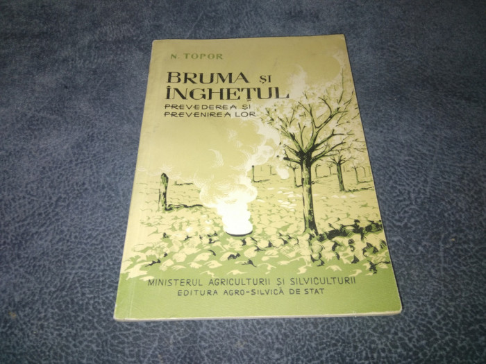 N TOPOR - BRUMA SI INGHETUL PREVEDEREA SI PREVENIREA LOR