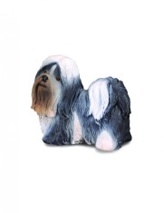 Shih Tzu - Collecta