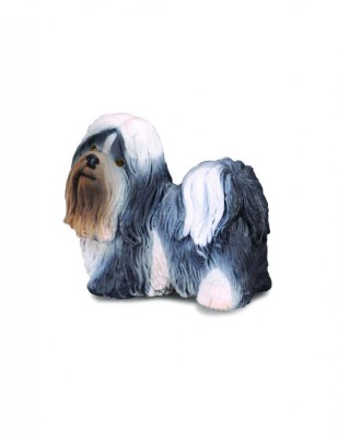 Shih Tzu - Collecta foto