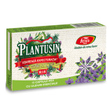 Plantusin, 15 capsule, Fares