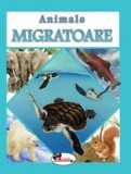 Animale migratoare |, Aramis