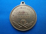 MEDALIE MILITARA AUSTRIACA&quot;STETS BEREIT,, CLASA I-AURIU