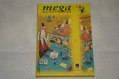 Mega activitati - RAO - 2008 foto