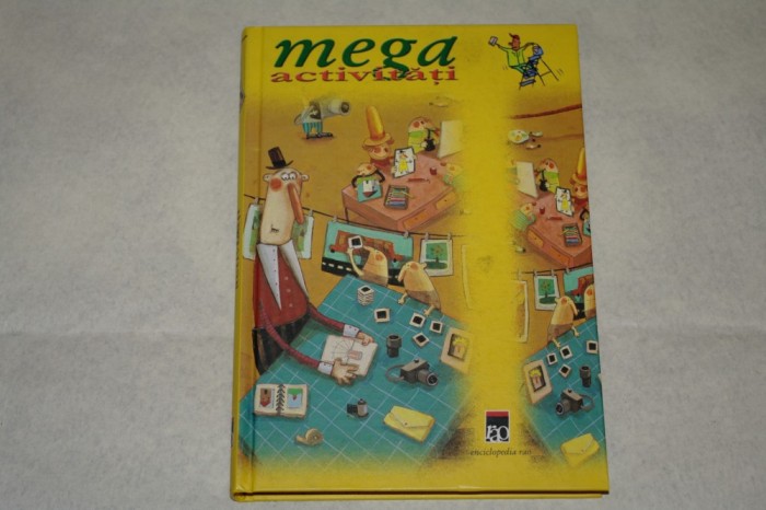 Mega activitati - RAO - 2008
