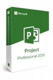 Project Professional 2019, Microsoft