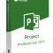 Project Professional 2019