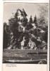 CPIB 17358 CARTE POSTALA - VALEA SEBESULUI. VILA LANGA SATUL IAZ, RPR, Necirculata, Fotografie