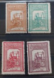 Romania 1906 - Tesatoarea
