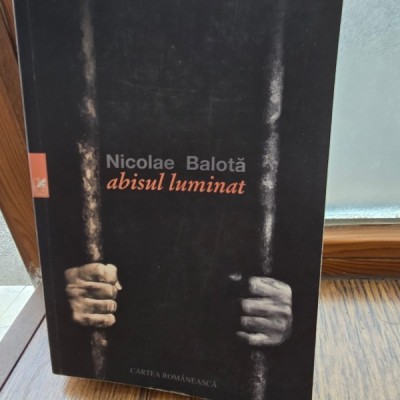 Abisul luminat - Nicolae Balota foto