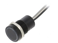 Comutator Capacitiv 12VDC IP68
