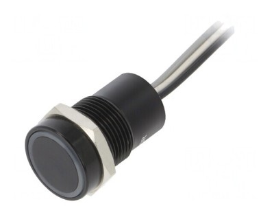 Comutator Capacitiv 12VDC IP68 foto