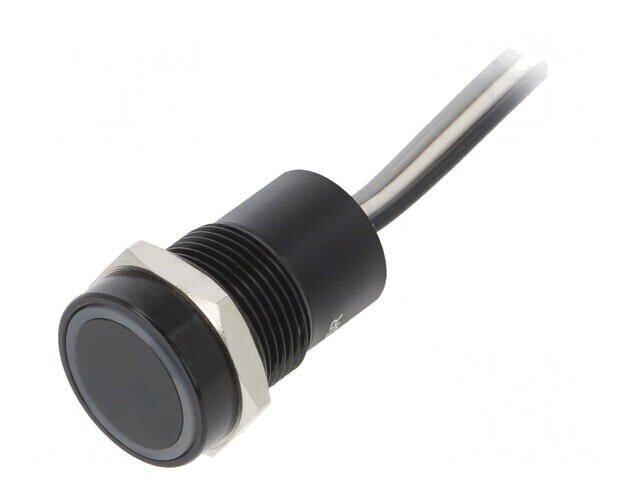Comutator Capacitiv 12VDC IP68