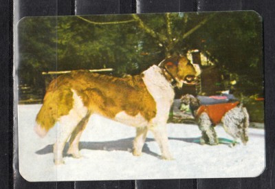 C9 6 - 1985 - Calendar de buzunar - reclama Intreprinderea Ascensorul - Bucuresti foto