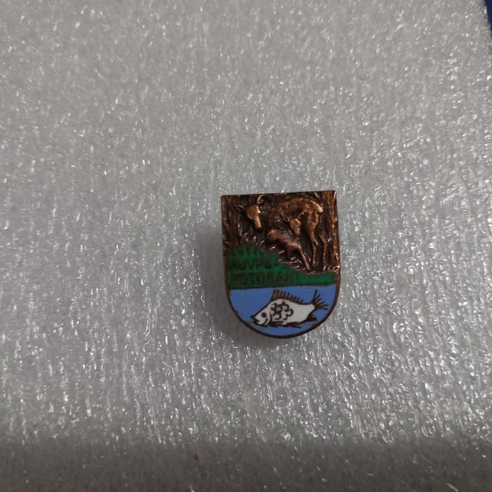 Insigna AJVPS Botosani