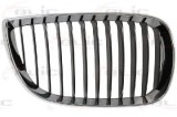 Grila radiator BMW Seria 1 (E81) (2006 - 2012) BLIC 6502-07-0085992P