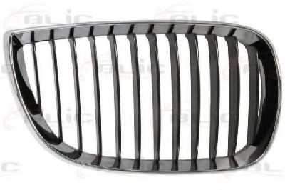Grila radiator BMW Seria 1 (E87) (2003 - 2013) BLIC 6502-07-0085992P foto