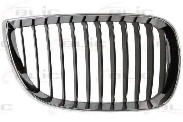 Grila radiator BMW Seria 1 (E87) (2003 - 2013) BLIC 6502-07-0085992P