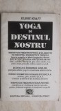 Elisse Kraft - Yoga si destinul nostru