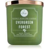 DW Home Signature Evergreen Forest lum&acirc;nare parfumată 269 g