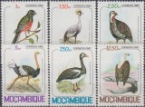 Mozambic 1980 - Păsări, fauna, serie neuzata