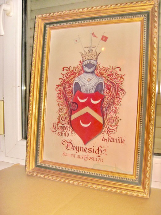 B552-Scutul heraldic medieval Familia Doynesich origine Bosnia.