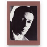 Poetul Geo Dumitrescu &icirc;n tinerețe, fotografie de mari dimensiuni