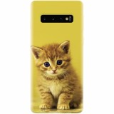 Husa silicon pentru Samsung Galaxy S10 Plus, Baby Kitten