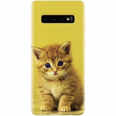 Husa silicon pentru Samsung Galaxy S10, Baby Kitten foto