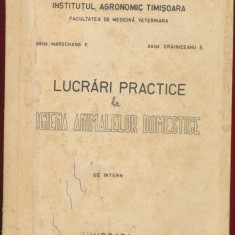 "Lucrari practice la Igiena Animalelor Domestice" UZ INTERN - Timisoara 1970