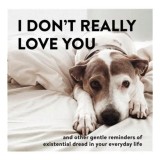 I Don't Really Love You