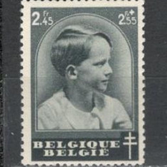 Belgia.1937 Ziua marcii postale MB.31