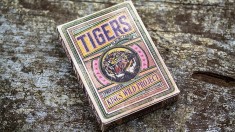 Kings Wild Tigers foto