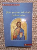 Nicolae Gheorghe Sincan - Pilde, povestioare duhovnicesti, istorioare nostime