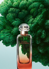 Hermes Un Jardin Sur La Lagune Set (EDT 100ml + BL 80ml) pentru Barba?i si Femei foto