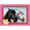 Mindent a lovakr&oacute;l - Puzzle-k&ouml;nyv