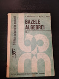Bazele Algebrei (Volumul 1)