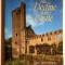 The Decline of the Castle - M. W. Thompson