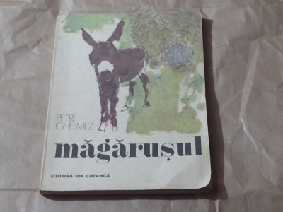 PETRE GHELMEZ - MAGARUSUL foto