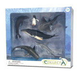 Set 6 figurine Viata Marina - Collecta