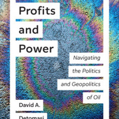 Profits and Power: Navigating the Politics and Geopolitics of Oil